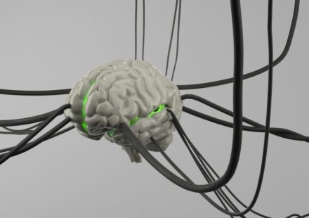 Meta-Cognitive Regulation in AI